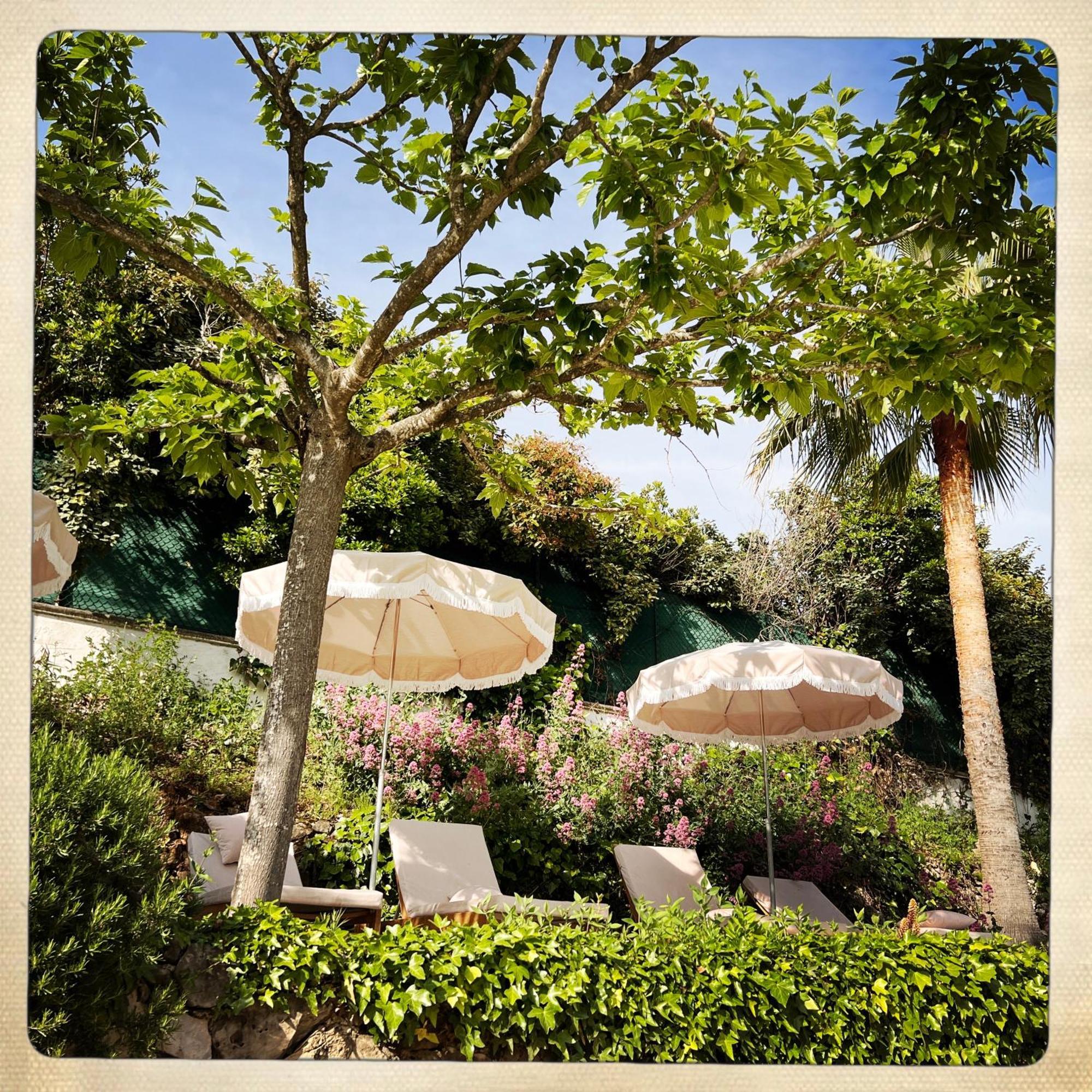 Hotel Les Messugues Saint-Paul-de-Vence Kültér fotó